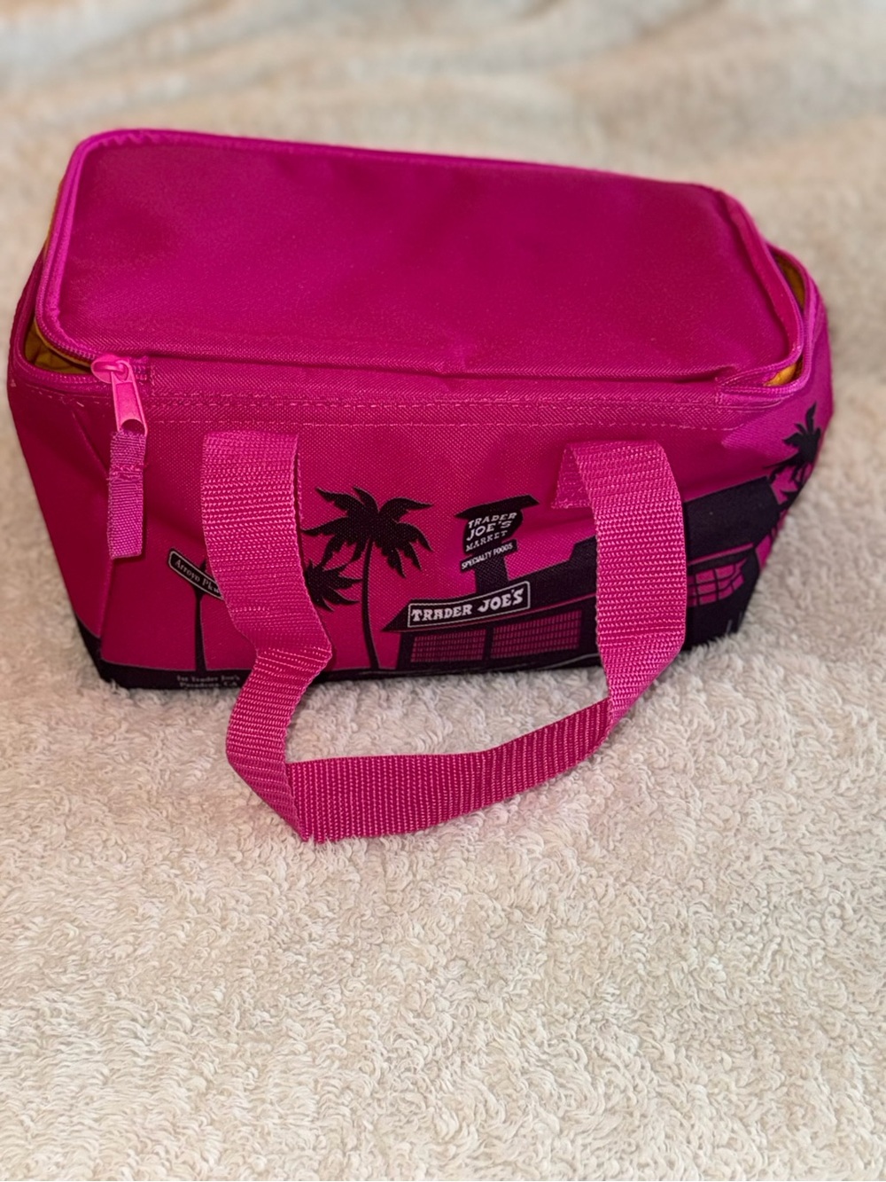 Trader Joe’s Mini Insulated Bag